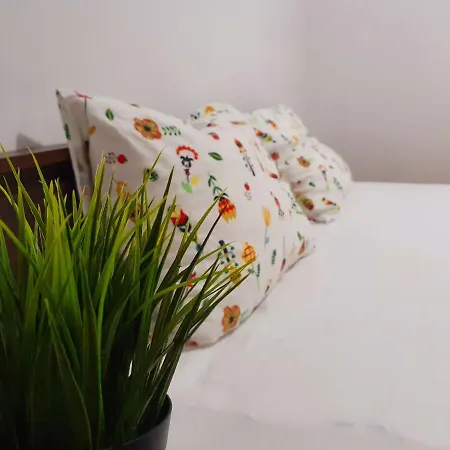 Pensiunea Casa Blanca Pensjonat 3*