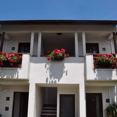 Pensiunea Casa Blanca * スリナ